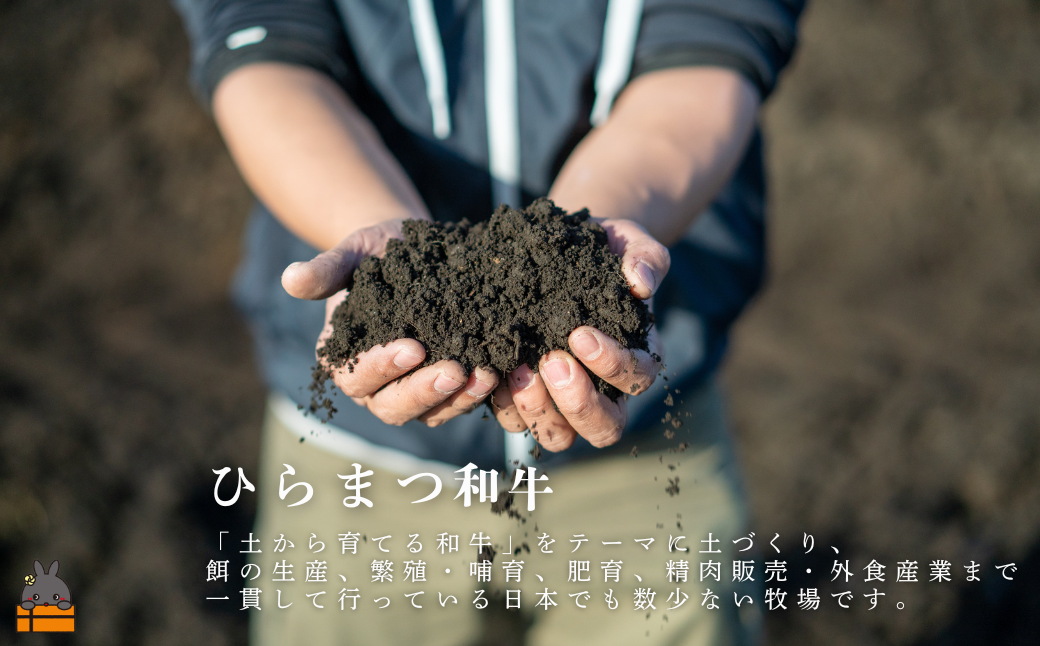 土から育てる和牛 鹿児島 ひらまつ和牛 サーロインステーキ 600g (200g×3) ( 平松牧場 厳選 プレミアム 鹿児島黒毛和牛 黒毛和牛 牛肉 徳之島 奄美 鹿児島 ギフト 循環 自然 )