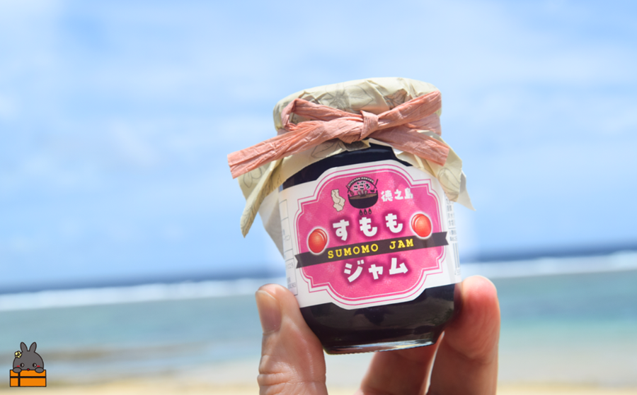 徳之島産フルーツ使用！低糖度の徳之島完熟たんかんジャム＆すももジャム（100g×2） （ たんかん すもも 完熟 ジャム パン 果物 フルーツ 徳之島 奄美 鹿児島 キッチンこころ ）
