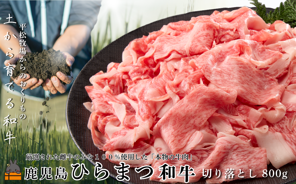 土から育てる和牛 鹿児島 ひらまつ和牛 切り落とし 800g   ( 平松牧場 厳選 プレミアム 鹿児島黒毛和牛 黒毛和牛 牛肉 徳之島 奄美 鹿児島 ギフト 循環 自然 )