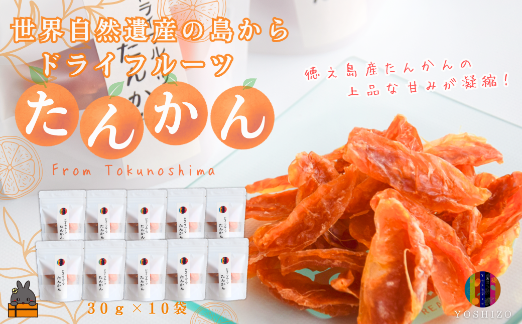 ～柑橘の爽やかな甘み凝縮！～徳之島産ドライフルーツたんかん（10袋） ( ドライフルーツ たんかん タンカン 柑橘 フルーツ 果物 徳之島 奄美 鹿児島 農夢ワールド )
