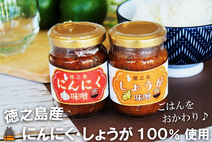 徳之島産にんにく・しょうが100%使用！ごはんのお供！徳之島にんにく味噌＆しょうが味噌（100ml×2） （ にんにく しょうが 生姜 ショウガ 食べ比べ 味噌 お味噌 ごはんのお供 ごはん 調味料 瓶 国産 徳之島 奄美 鹿児島 美味しい ）