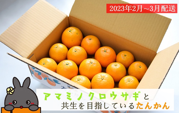 【ずっとともだちプロジェクト】アマミノクロウサギと共生を目指している徳之島産たんかん（3kg）