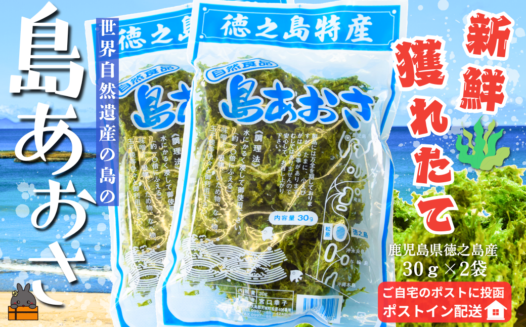 【2026年とれたて！】煌きの海からの恵み！島あおさ（2袋）【ポストイン配送】( アオサ あおさ のり 海苔 乾物 徳之島 奄美 鹿児島 お味噌汁 料理 てんぷら 卵焼き 美味しい 新鮮 )