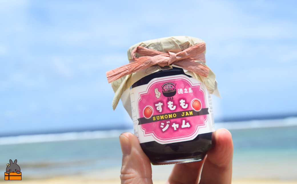 徳之島産すもも使用！低糖度の徳之島すももジャム（100g×2） （ すもも 完熟 ジャム パン 朝ごはん 果物 フルーツ 徳之島 奄美 鹿児島 美味しい キッチンこころ ）