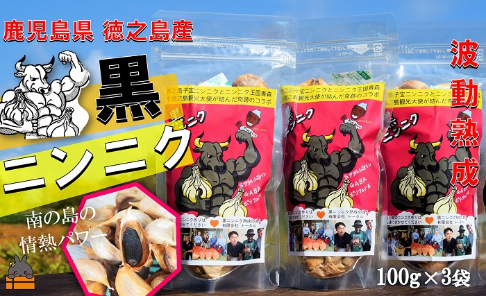 こだわりの波動熟成！ 鹿児島県徳之島産黒ニンニク（100g×3袋） ( にんにく ニンニク 熟成 GABA ポリフェノール Sアリルシスティン 健康食品 元気 長寿 徳之島 奄美 鹿児島 世界自然遺産 奄美海援隊 )