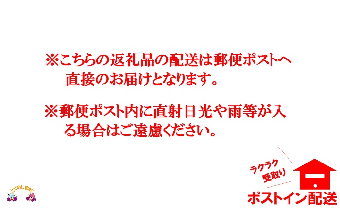 ～島の母（あま）の手作り～徳之島のパパイヤ漬け（にんにく味）2袋【ポストイン配送】