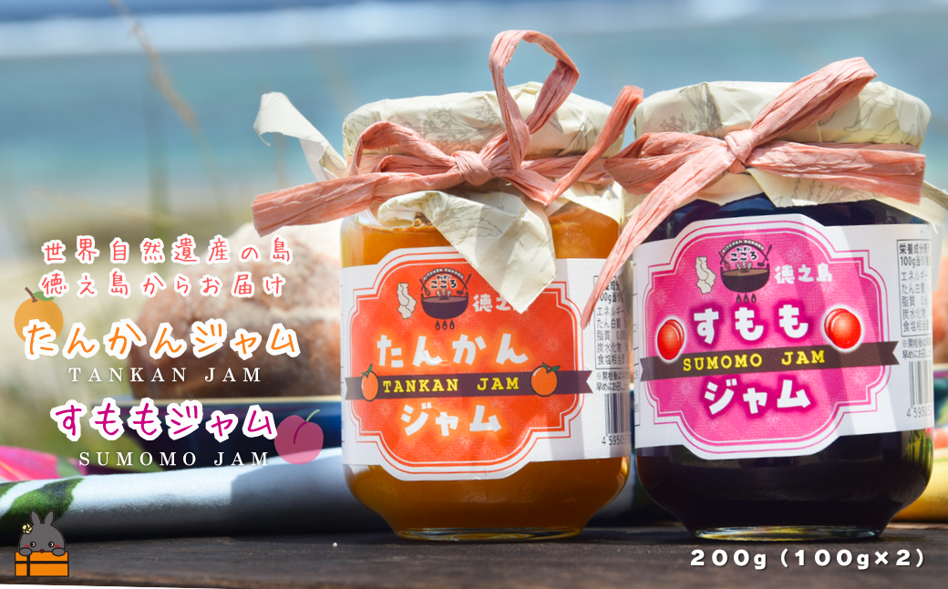 徳之島産フルーツ使用！低糖度の徳之島完熟たんかんジャム＆すももジャム（100g×2） （ たんかん すもも 完熟 ジャム パン 果物 フルーツ 徳之島 奄美 鹿児島 キッチンこころ ）