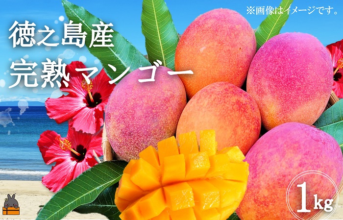 《年末受付》徳之島 美味しいモノ定期便 ( 鹿児島黒毛和牛 5等級 牛肉 完熟マンゴー パッションフルーツ すき焼き 果物 徳之島 奄美 鹿児島 )