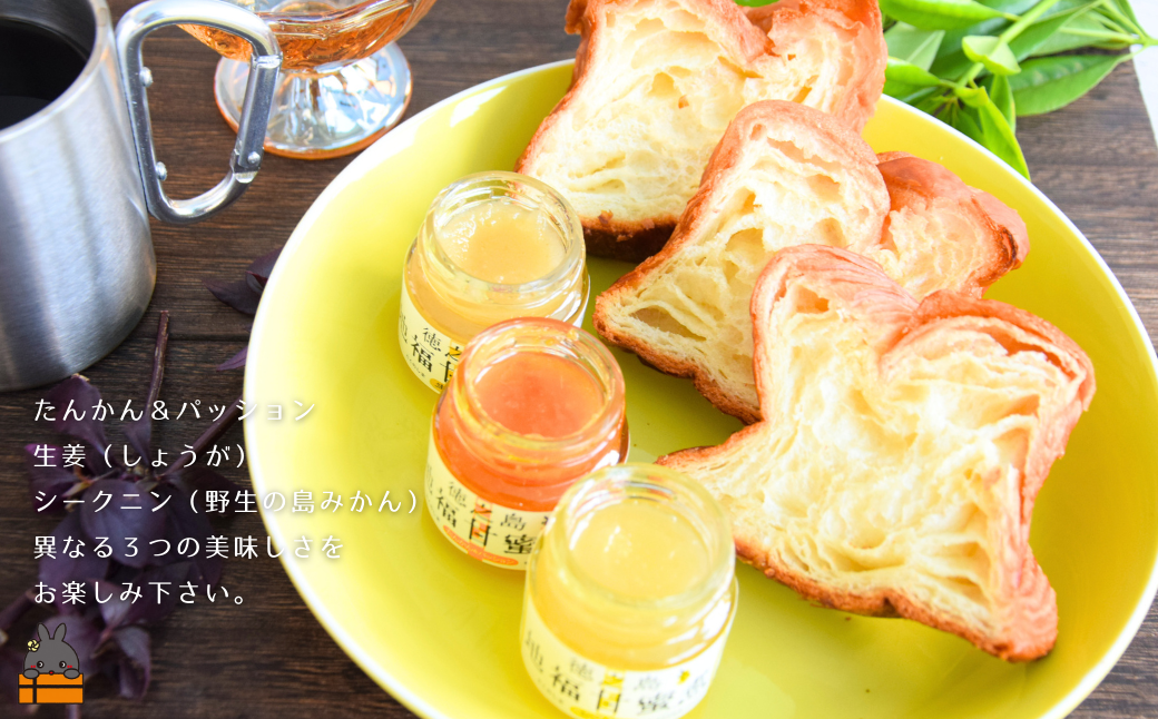 《お試し》太陽（てぃだ）の恵み！3種のしあわせ島ジャムセット ( ジャム パン たんかん タンカン パッションフルーツ しょうが 生姜 シークニン 柑橘 みかん 徳之島 奄美 鹿児島 )