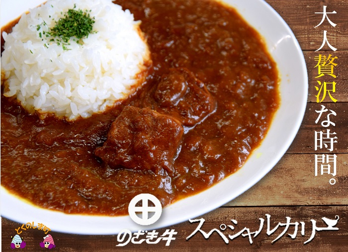 大人贅沢な「徳之島“生まれ”のざき牛」が“ごろっ”と入ったスペシャルカリー（10食） ( カレー のざき牛 鹿児島黒毛和牛 スパイシー レトルト 徳之島 奄美 鹿児島 美味しい 人気 大人の味 ごろっと )