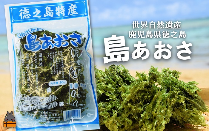2026年とれたて！》徳之島産「島あおさ」（30g×6袋）( アオサ あおさ