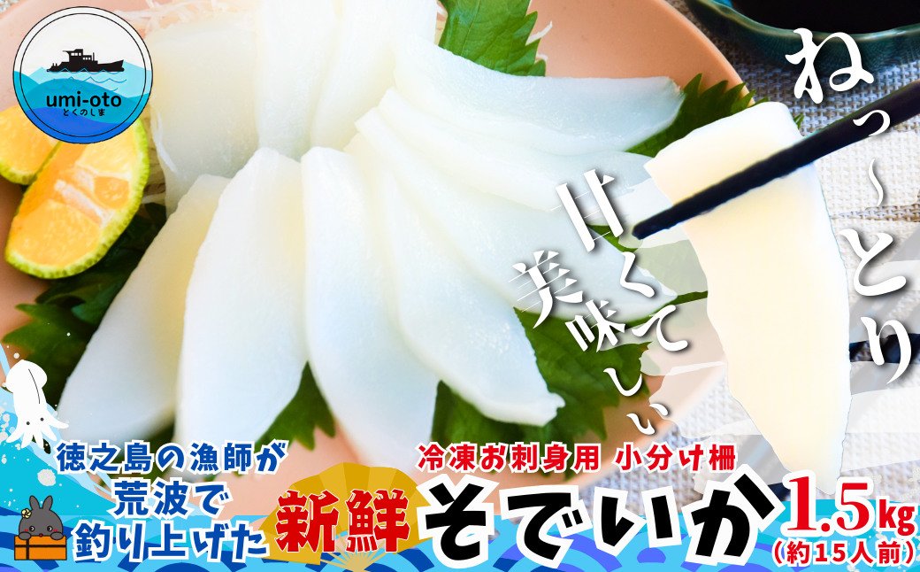 徳之島の漁師が荒波で釣り上げたそでいか 冷凍お刺身用小分け柵 1.5kg（約15人前） （ ソデイカ いか イカ 大型のいか 回遊 お刺身 甘い ねっとり 冷凍 新鮮 お寿司 料理 徳之島 奄美 沖縄 鹿児島 海鮮 umi-otoとくのしま ）