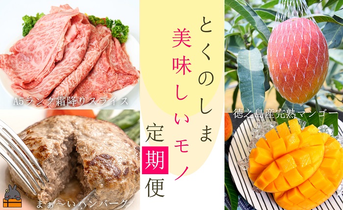 《年末限定受付》徳之島美味しいモノ定期便 ( 黒毛和牛 A5 ハンバーグ 牛肉 惣菜 冷凍 マンゴー 完熟マンゴー 果物 フルーツ 徳之島 奄美 鹿児島 うれしい 美味しい カミチク )