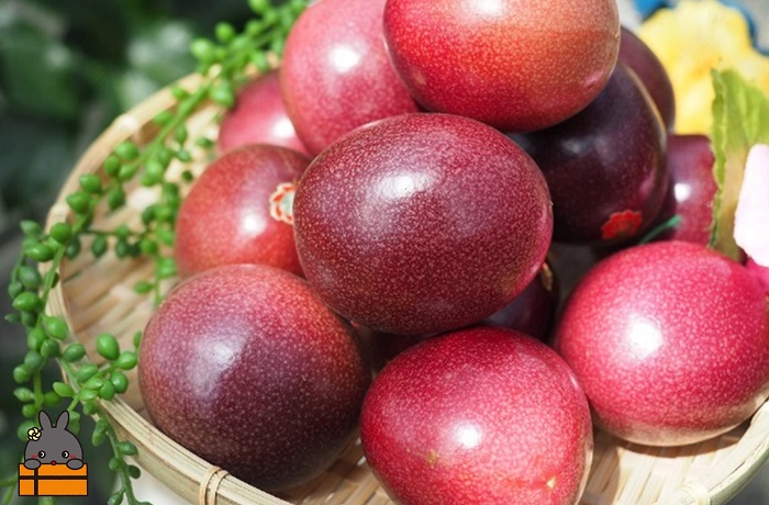 《年末受付》徳之島 美味しいモノ定期便 ( 鹿児島黒毛和牛 5等級 牛肉 完熟マンゴー パッションフルーツ すき焼き 果物 徳之島 奄美 鹿児島 )