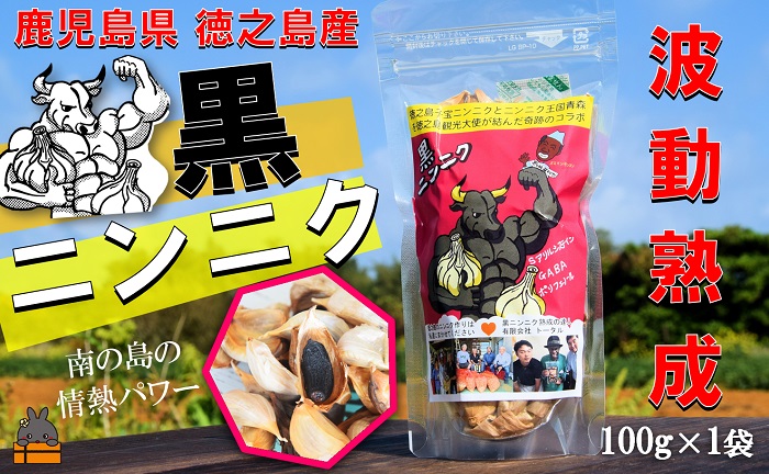 こだわりの波動熟成！ 鹿児島県徳之島産黒ニンニク（100g×1袋） ( にんにく ニンニク 熟成 GABA ポリフェノール Sアリルシスティン 健康食品 元気 長寿 徳之島 奄美 鹿児島 世界自然遺産 奄美海援隊 )