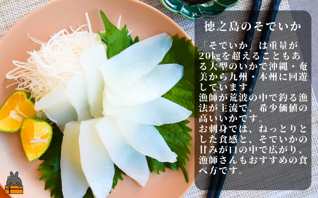 徳之島の漁師が荒波で釣り上げたそでいか 3種盛り お刺身・いかキムチ・つけあげ （ ３つの美味しさ ソデイカ いか イカ 大型のいか 回遊 お刺身 甘い ねっとり 冷凍 新鮮 お寿司 料理 徳之島 奄美 沖縄 鹿児島 海鮮 umi-otoとくのしま ）