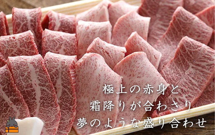 豈主屓邏700鬆ュ縺九i蜴ウ驕ク縺輔l縺 鮖ソ蜈仙ウカ鮟呈ッ帛柱迚 蟶悟ー鷹Κ菴咲┥閧 600g ( 襍、霄ォ 繝ゥ繝ウ繝 繧、繝√ 繧ッ繝ェ繝 髴憺剄繧 繧カ繝悶ヨ繝ウ 繧ォ繧、繝弱Α 繧オ繧オ繝 蜴ウ驕ク 繝励Ξ繝溘い繝 鬮伜刀雉ェ 辟シ閧 鮖ソ蜈仙ウカ鮟呈ッ帛柱迚 鮟呈ッ帛柱迚 迚幄i 蠕ウ荵句ウカ 螂鄒 鮖ソ蜈仙ウカ 繧ョ繝輔ヨ 縺贋クュ蜈 縺頑ュウ證ョ 繧ケ繝繝シ繧ュ 縺秘ヲウ襍ー 險伜ソオ譌・ 鬮伜ウカ螻 )