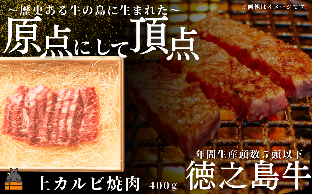 南原（はいばる）牧場 幻の徳之島牛 上カルビ焼肉 400g ( 厳選 焼肉 プレミアム 高品質 鹿児島黒毛和牛 黒毛和牛 牛肉 万能 料理 徳之島 奄美 鹿児島 和牛ギャング )