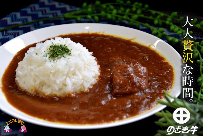 大人贅沢な「徳之島“生まれ”のざき牛」が“ごろっ”と入ったスペシャルカリー（10食） ( カレー のざき牛 鹿児島黒毛和牛 スパイシー レトルト 徳之島 奄美 鹿児島 美味しい 人気 大人の味 ごろっと )