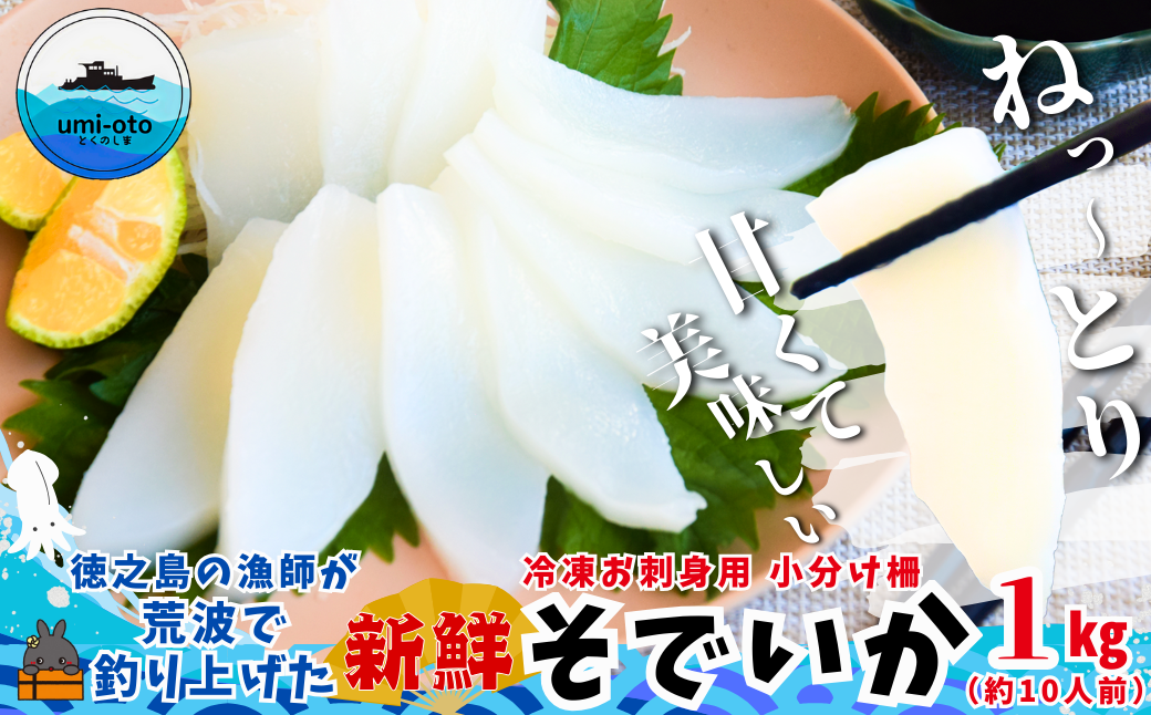 徳之島の漁師が荒波で釣り上げたそでいか 冷凍お刺身用小分け柵 1kg（約10人前） （ ソデイカ いか イカ 大型のいか 回遊 お刺身 甘い ねっとり 冷凍 新鮮 お寿司 料理 徳之島 奄美 沖縄 鹿児島 海鮮 umi-otoとくのしま ）
