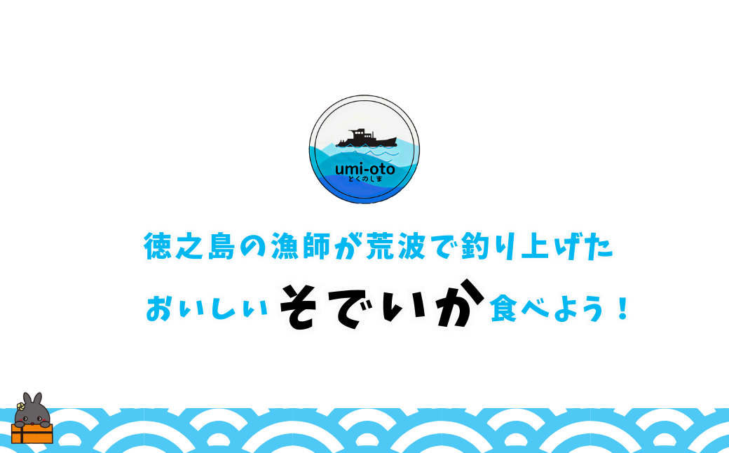 徳之島の漁師が荒波で釣り上げたそでいか 冷凍お刺身用小分け柵 1.5kg（約15人前） （ ソデイカ いか イカ 大型のいか 回遊 お刺身 甘い ねっとり 冷凍 新鮮 お寿司 料理 徳之島 奄美 沖縄 鹿児島 海鮮 umi-otoとくのしま ）