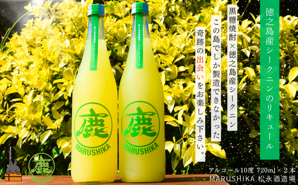 シークニンの香り豊かな♪ 徳之島産シークニンリキュール 720ml×２本 (アルコール10度) ( 黒糖焼酎 酒 シークニン 野生みかん 水割り 炭酸割り 松永酒造場 徳之島 奄美 鹿児島 ダイキチ食品 )