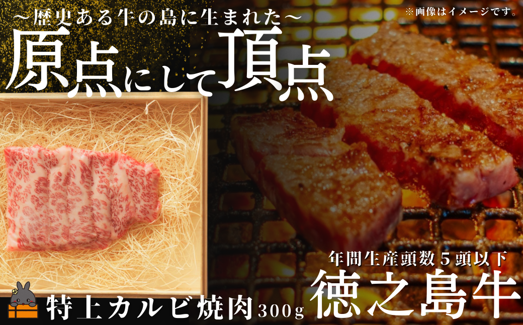 南原（はいばる）牧場 幻の徳之島牛 特上カルビ焼肉 300g ( 厳選 焼肉 プレミアム 高品質 鹿児島黒毛和牛 黒毛和牛 牛肉 万能 料理 徳之島 奄美 鹿児島 和牛ギャング )