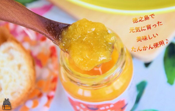 徳之島産フルーツ使用！低糖度の徳之島完熟たんかんジャム＆すももジャム（100g×2） （ たんかん すもも 完熟 ジャム パン 果物 フルーツ 徳之島 奄美 鹿児島 キッチンこころ ）