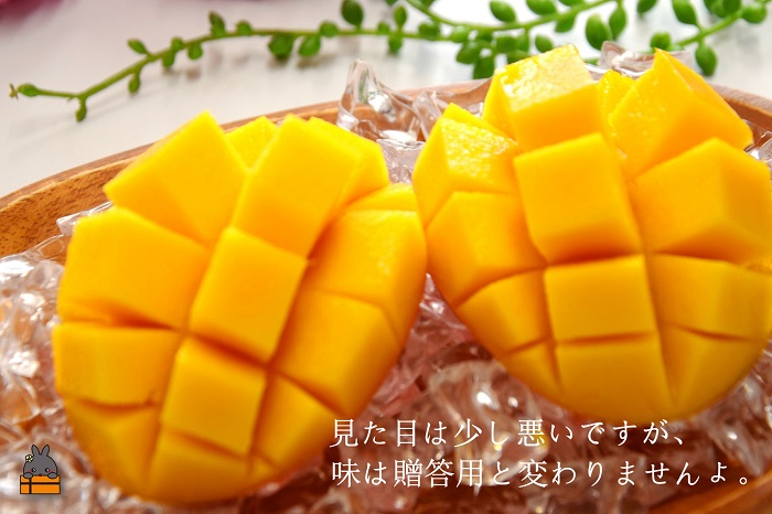 ≪先行予約≫【家庭用】徳之島センチュリー果樹園さんの完熟マンゴー1kg（2～3玉）( マンゴー フルーツ わけあり 訳あり 訳有 果物 完熟 無加温 徳之島 世界自然遺産 美味しい とろける 旬 贅沢 糖度 南の島 )