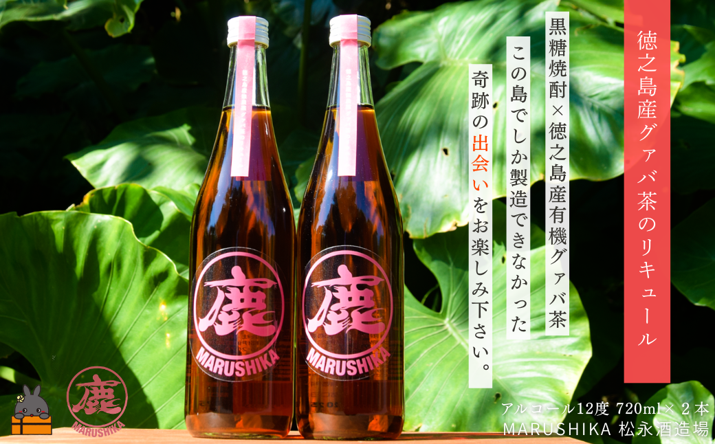 グァバの豊かな風味♪ 徳之島産有機グァバ茶リキュール 720ml×２本 (アルコール12度) ( 黒糖焼酎 酒 グァバ グァバ茶 水割り 炭酸割り 松永酒造場 徳之島 奄美 鹿児島 福留農園 )