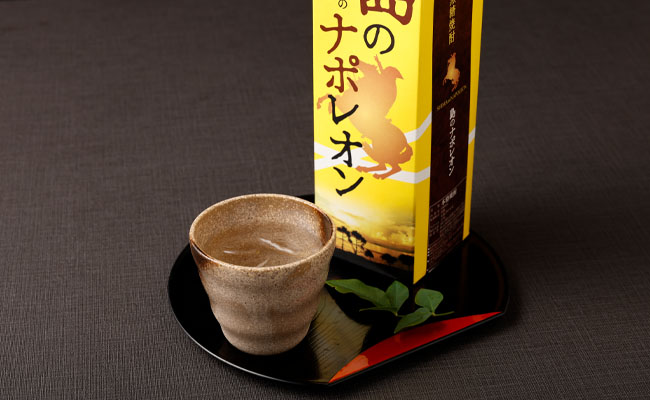 【定期便年6回】黒糖焼酎『島のナポレオン』1800ml×3本セット 計18本 パック A-14