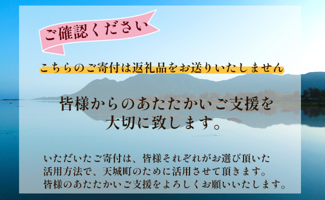 【返礼品なし】天城町 への寄付 （1口： 500,000円 ）鹿児島 徳之島 天城町 寄附 応援 支援 寄付のみ 返礼品なし