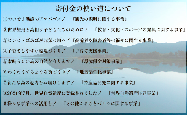 【返礼品なし】天城町 への寄付 （1口： 500,000円 ）鹿児島 徳之島 天城町 寄附 応援 支援 寄付のみ 返礼品なし