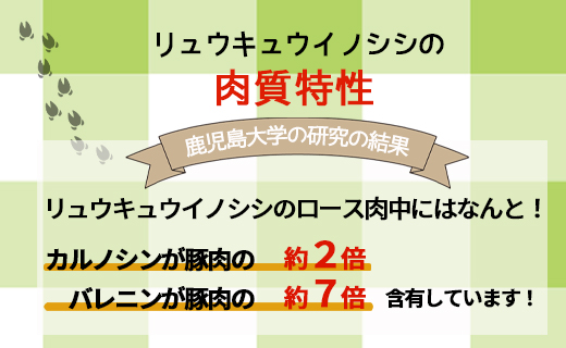 縲宣ケソ蜈仙ウカ蠕ウ荵句ウカ縲代う繝弱す繧キ 辟シ閧臥畑 繧サ繝繝2kg 繧ク繝薙お 繝ュ繝シ繧ケ 繧オ繧、繧ウ繝ュ 繝舌Λ AI-33