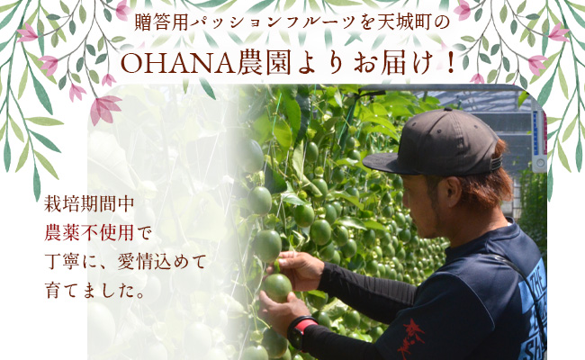 【2024年発送】徳之島 天城町 OHANA農園 パッションフルーツ 贈答用 1kg  フルーツ パッション