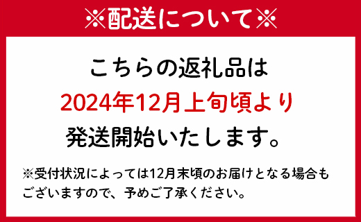 【2024年12月発送】徳之島 天城町産 農家直送 アールスメロン メロン マスクメロン 3L×2玉 AJ-26-N