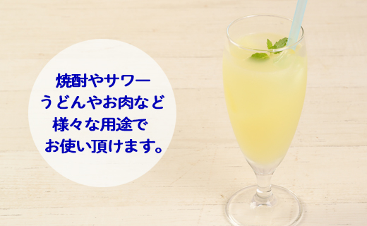 徳之島 天城町 ヤマ・シークニン シークヮーサー 100％ 果汁 調味料 300ml×2本セット M-6-N