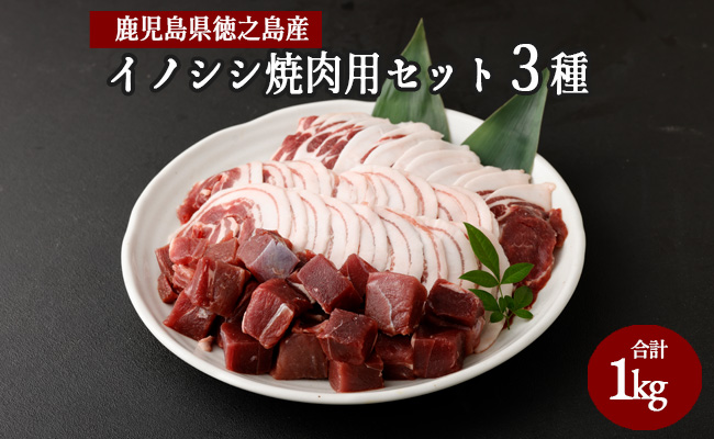 【鹿児島徳之島】イノシシ焼肉用セット１ｋｇ イノシシ肉 猪肉 ジビエ AI-16