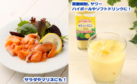 鹿児島県 徳之島 天城町 ヤマ・シークニン シークヮーサー 100％ 果汁 3本（70ml×3） 島みかん