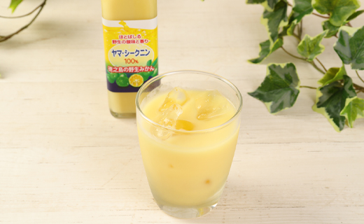 徳之島 天城町 ヤマ・シークニン シークヮーサー 100％ 果汁 調味料 300ml×2本セット M-6-N