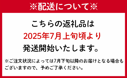 【2025年発送】先行受付【ご家庭用】徳之島 天城町 島マンゴー園 完熟マンゴー 2kg マンゴー フルーツ BA-4-N