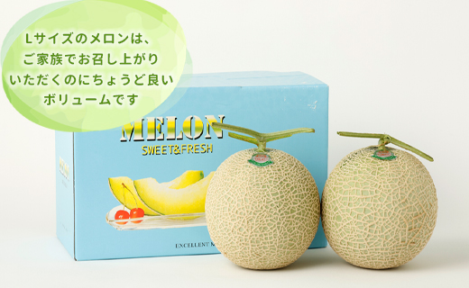 蠕ウ荵句ウカ 螟ゥ蝓守伴 蜷牙キ晄棡讓ケ蝨 繧「繝シ繝ォ繧ケ繝。繝ュ繝ウ 3L繧オ繧、繧コ 2邇 繝。繝ュ繝ウ 繝槭せ繧ッ繝。繝ュ繝ウ