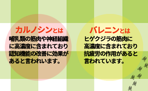 【鹿児島県徳之島】天城町産 イノシシ肉 ミンチ 2kg（ 500g×4パック ）猪 肉 ジビエ AI-27-N