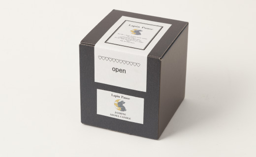 ã©ãã³ããŒãºãäžæ¯ã€ãå
ãïŒãžã£ã¹ãã³ïŒ ããã¥ã©ã«ã¢ãããã£ã³ãã«ïœã¢ãããã£ã³ãã« ãã£ã³ãã« çã 鹿å
å³¶ç 埳ä¹å³¶ 倩åçº