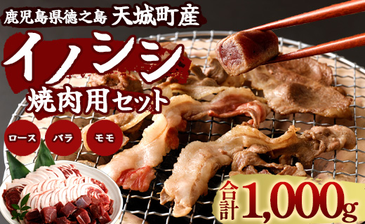 【鹿児島徳之島】イノシシ焼肉用セット１ｋｇ イノシシ肉 猪肉 ジビエ AI-16