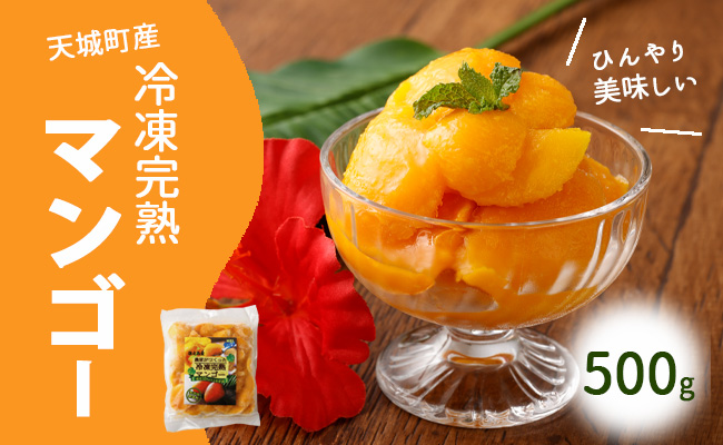 鹿児島県 徳之島 天城町産 冷凍 完熟 マンゴー 500g 冷凍マンゴー フルーツ