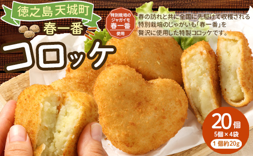 徳之島 春一番 コロッケ 20個 セット （5個×4袋） 1個当たり約60g 計約1.2kg じゃがいも 惣菜 おかず 冷凍 鹿児島 天城町