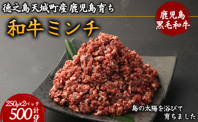 徳之島 天城町産 鹿児島育ち 鹿児島黒毛和牛 ミンチ 500g 250g×2パック