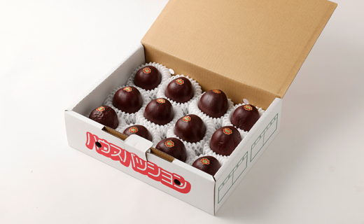 【2026年発送】先行受付 天城町 南部ガーデン パッションフルーツ 贈答用 1kg  果物 果実 フルーツ 常温 国産 九州 鹿児島県 天城町 