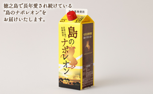 【鹿児島県天城町】本格 黒糖焼酎 島のナポレオン 紙パック 900ml×4本ｾｯﾄ 計3.6L A-33